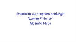 Lumea Piticilor, Moşniţa Nouă program de funcționare