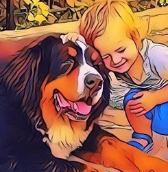 Dede Veterinary, Potlogi program de funcționare