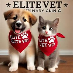 Elite Vet, Valea Adâncă program de funcționare