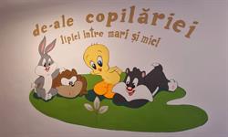 Cresa DE-ALE COPILARIEI, Braşov program de funcționare