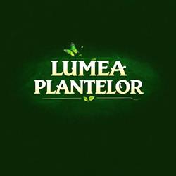 Plante Ornamentale Craiova-Lumea Plantelor, program de funcționare