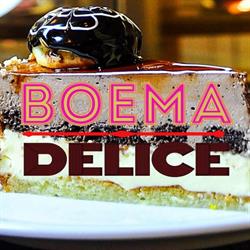 Boema Delice, Arad program de funcționare