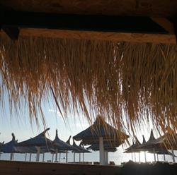 The Boat, Vama Veche program de funcționare