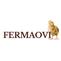 SC OVIPUI SRL, Ovidiu program de funcționare