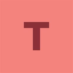 TIMTRONICS INDUSTRIAL TECHNOLOGIES SRL, Timişoara program de funcționare