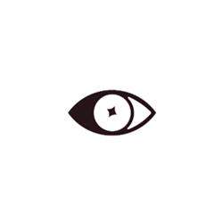 Vision Pub, Satu Mare program de funcționare