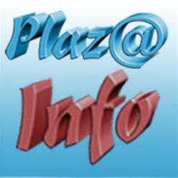 Plazainfo, Satu Mare program de funcționare