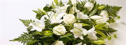 CRISTAL Servicii Funerare Galati, program de funcționare