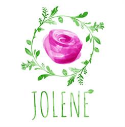 Jolene - Invitatii Nunta & Botez, Iaşi program de funcționare