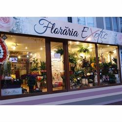Florăria Exotic, Galaţi program de funcționare