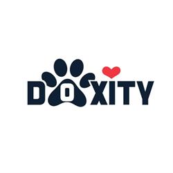 Doxity, Satu Mare program de funcționare