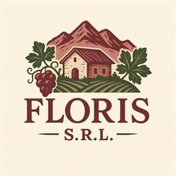 FLORIS S.R.L., Miercurea-Ciuc program de funcționare