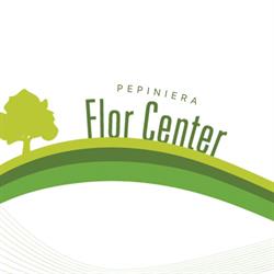 Flor-Center, Moşniţa Nouă program de funcționare