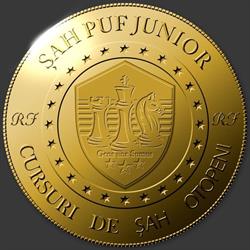 Sah Puf Junior, Otopeni program de funcționare