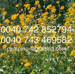 Camping La Gradina, Comăneşti program de funcționare