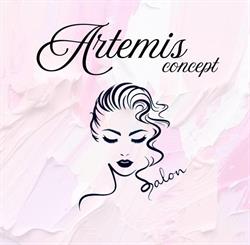 Artemis Concept, Brăila program de funcționare