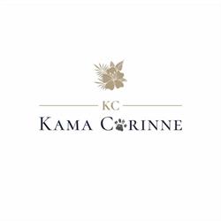 Kama Corinne, Ploieşti program de funcționare