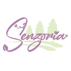SENZORIA, Movila program de funcționare