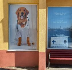 Optim veterinaria - urgenţe veterinare non stop, Arad program de funcționare
