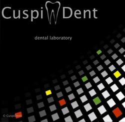 CuspiDent, Făgăraş program de funcționare