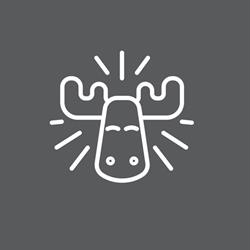 Moo, Piatra-Neamţ program de funcționare