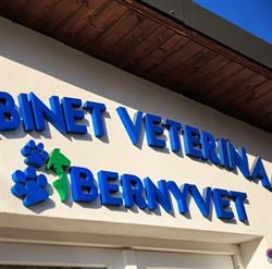 Bernyvet, Râmnicu Vâlcea program de funcționare