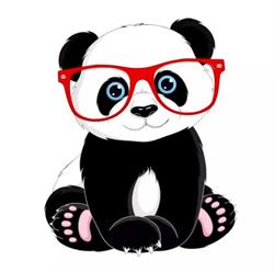 Panda Cool Optic, Constanţa program de funcționare