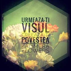 Kalimera Flowers, Braşov program de funcționare