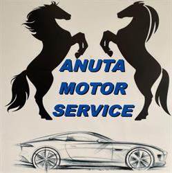 Anuta Motor Service s.r.l - Vulcanizare auto, Balş program de funcționare