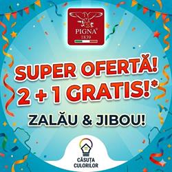 Casuta Culorilor Zalau, program de funcționare