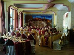 Casa Denys, Buziaş program de funcționare