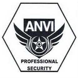 ANVI PROFESSIONAL SECURITY SRL, Botoşani program de funcționare