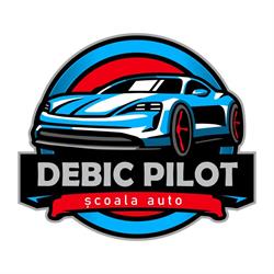 DEBIC PILOT S.R.L., Târgovişte program de funcționare