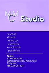 STUDIO MCM SRL, Timişoara program de funcționare