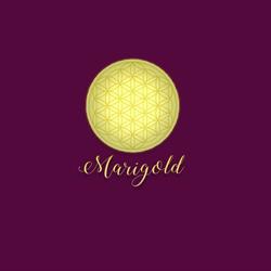 Marigold, Ploieşti program de funcționare