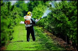 PestControl, Bucureşti program de funcționare