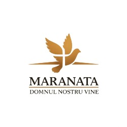 Biserica Penticostală Maranata Bacău, program de funcționare