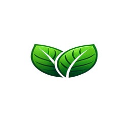 Green Webpage, Brăila program de funcționare