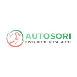 S.C. AUTOSORI S.R.L., Braşov program de funcționare