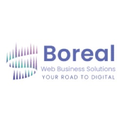 SC BOREAL WEB SRL, Reşiţa program de funcționare