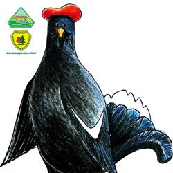 Parcul Natural Munţii Maramureşului, Vişeu de Sus program de funcționare