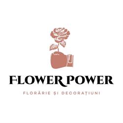Floraria Flower Power - Buchete si Aranjamente Florale -NON STOP, Dumbrăviţa program de funcționare
