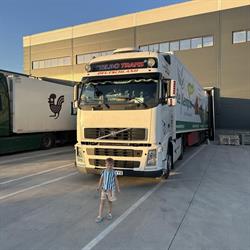 STELBO TRANS SRL, Târgu Jiu program de funcționare