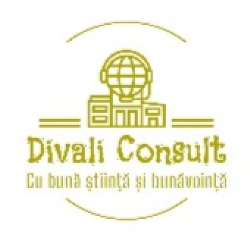 Divali Consult, Satu Mare program de funcționare