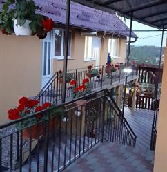 Casa Dina, Turda program de funcționare