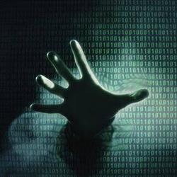 vertexbit.com, Baia Mare program de funcționare
