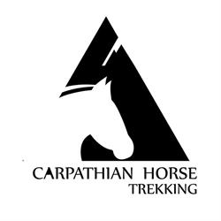 Carpathian Horse Trekking, Petrila program de funcționare