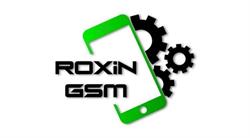 Roxin Phone Service (Oradea), program de funcționare