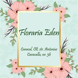 Floraria Eden, Caracal program de funcționare