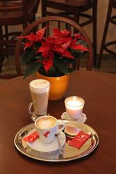 Don's Cafe, Sălişte program de funcționare